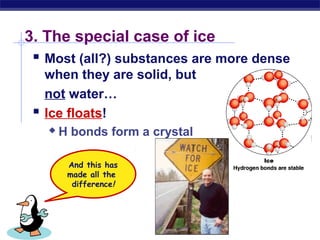 AP Biology
3. The special case of ice
 Most (all?) substances are more dense
when they are solid, but
not water…
 Ice floats!
 H bonds form a crystal
And this has
made all the
difference!
 
