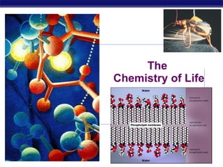 The  Chemistry of Life 