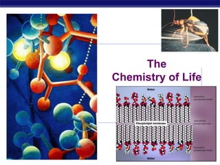 2009-2010 The Chemistry of Life 