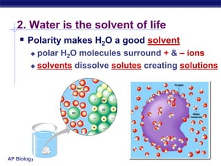 leads to many interesting properties of water…+––––+