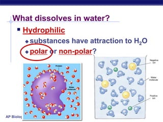 Hydrogen bondingH bondsHHOPolar water creates molecular attractions