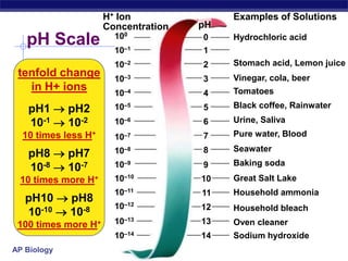 1. Cohesion & AdhesionCohesion