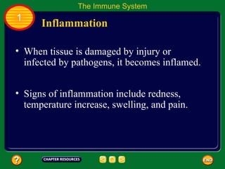 The Immune System
1
      Inflammation

• When tissue is damaged by injury or
  infected by pathogens, it becomes inflamed.


• Signs of inflammation include redness,
  temperature increase, swelling, and pain.
 