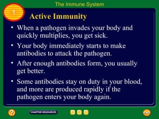 The Immune System
1
      Active Immunity
• When a pathogen invades your body and
  quickly multiplies, you get sick.
• Your body immediately starts to make
  antibodies to attack the pathogen.
• After enough antibodies form, you usually
  get better.
• Some antibodies stay on duty in your blood,
  and more are produced rapidly if the
  pathogen enters your body again.
 
