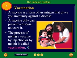 The Immune System
1
      Vaccination
• A vaccine is a form of an antigen that gives
  you immunity against a disease.
• A vaccine only can
  prevent a disease,
  not cure it.
• The process of
  giving a vaccine
  by injection or by
  mouth is called
  vaccination.
 