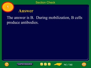 Section Check
1
      Answer
The answer is B. During mobilization, B cells
produce antibodies.




                                 NC: 7.02
 