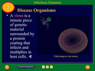 Infectious Diseases
2
     Disease Organisms
• A virus is a
  minute piece
  of genetic
  material
  surrounded by
  a protein
  coating that
  infects and
  multiplies in
  host cells.               Click image to view movie.
 