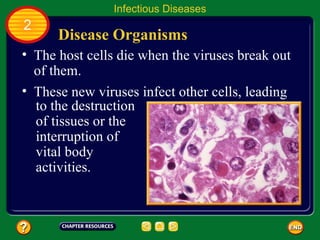 Infectious Diseases
2
      Disease Organisms
• The host cells die when the viruses break out
  of them.
• These new viruses infect other cells, leading
  to the destruction
  of tissues or the
  interruption of
  vital body
  activities.
 