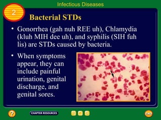 Infectious Diseases
2
      Bacterial STDs
• Gonorrhea (gah nuh REE uh), Chlamydia
  (kluh MIH dee uh), and syphilis (SIH fuh
  lis) are STDs caused by bacteria.
• When symptoms
  appear, they can
  include painful
  urination, genital
  discharge, and
  genital sores.
 