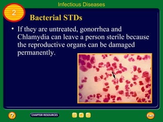 Infectious Diseases
2
      Bacterial STDs
• If they are untreated, gonorrhea and
  Chlamydia can leave a person sterile because
  the reproductive organs can be damaged
  permanently.
 