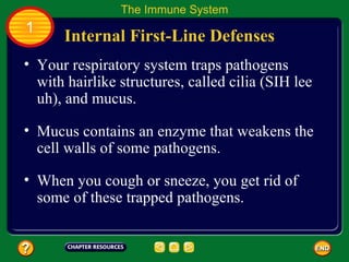 The Immune System
1
      Internal First-Line Defenses
• Your respiratory system traps pathogens
  with hairlike structures, called cilia (SIH lee
  uh), and mucus.

• Mucus contains an enzyme that weakens the
  cell walls of some pathogens.

• When you cough or sneeze, you get rid of
  some of these trapped pathogens.
 