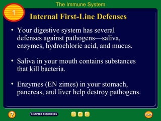 The Immune System
1
      Internal First-Line Defenses
• Your digestive system has several
  defenses against pathogens—saliva,
  enzymes, hydrochloric acid, and mucus.

• Saliva in your mouth contains substances
  that kill bacteria.

• Enzymes (EN zimes) in your stomach,
  pancreas, and liver help destroy pathogens.
 