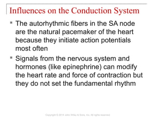  The autorhythmic fibers in the SA node
are the natural pacemaker of the heart
because they initiate action potentials
most often
 Signals from the nervous system and
hormones (like epinephrine) can modify
the heart rate and force of contraction but
they do not set the fundamental rhythm
Influences on the Conduction System
Copyright © 2014 John Wiley & Sons, Inc. All rights reserved.
 