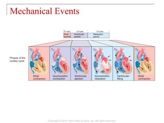 Mechanical Events
Copyright © 2014 John Wiley & Sons, Inc. All rights reserved.
 