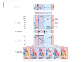 Copyright © 2014 John Wiley & Sons, Inc. All rights reserved.
 