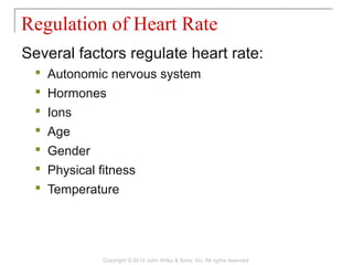 Several factors regulate heart rate:
 Autonomic nervous system
 Hormones
 Ions
 Age
 Gender
 Physical fitness
 Temperature
Regulation of Heart Rate
Copyright © 2014 John Wiley & Sons, Inc. All rights reserved.
 