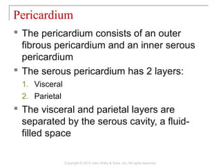  The pericardium consists of an outer
fibrous pericardium and an inner serous
pericardium
 The serous pericardium has 2 layers:
1. Visceral
2. Parietal
 The visceral and parietal layers are
separated by the serous cavity, a fluid-
filled space
Pericardium
Copyright © 2014 John Wiley & Sons, Inc. All rights reserved.
 