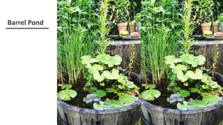 20 Charming Small Garden Ideas That Won't Break Your Budget.pptx