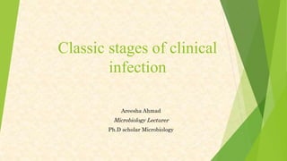 Classic stages of clinical
infection
Areesha Ahmad
Microbiology Lecturer
Ph.D scholar Microbiology
 