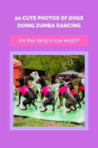 20 CUTE PHOTOS OF DOGS
DOING ZUMBA DANCING
Are they trying to lose weight?
 