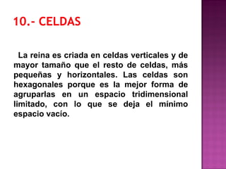 La reina es criada en celdas verticales y de
mayor tamaño que el resto de celdas, más
pequeñas y horizontales. Las celdas son
hexagonales porque es la mejor forma de
agruparlas en un espacio tridimensional
limitado, con lo que se deja el mínimo
espacio vacío.
 