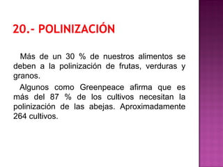 Más de un 30 % de nuestros alimentos se
deben a la polinización de frutas, verduras y
granos.
Algunos como Greenpeace afirma que es
más del 87 % de los cultivos necesitan la
polinización de las abejas. Aproximadamente
264 cultivos.
 