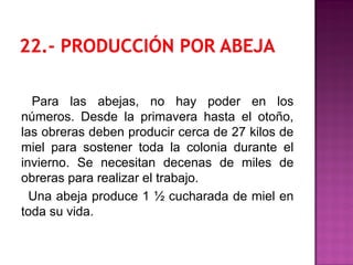 Para las abejas, no hay poder en los
números. Desde la primavera hasta el otoño,
las obreras deben producir cerca de 27 kilos de
miel para sostener toda la colonia durante el
invierno. Se necesitan decenas de miles de
obreras para realizar el trabajo.
Una abeja produce 1 ½ cucharada de miel en
toda su vida.
 