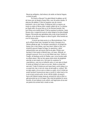 făceai pe achipuite, cînd mîncai, de multe ori duciai lingura
cu dosu la gură.
Pe urmă ce făceam? Au găsit băieţii în pădure un fel
de lemn care să despica foarte bine, care să numia chedru. Il
aduciau din pădure, îl tăia în lungime cam de cinzeci
ţentimetri, sau şi mai lungi, îl despicau întîi cu toporu, pe
urmă cu cuţitu şi făciau nişte vergele subţiri de tot. Le puniau
pe lîngă sobă, să uscau bine şi cu ele făceam lumină, căci
acel lemn avea multă răşină. Cînd ne puniam la mîncarc, luam
fiecare cîte o vergică de aceia în mîna stîngă şi în mîna driaptă
lingura. Să termina una aprindiam alta şi aşa aviam lumină cît
mîncam, să nu ducem lingura cu dosu la gură. Atîta lumină am
avut în iarna aceia.
A trecut aşa iarna aceia şi s-a făcut primăvara. Cam
pe la sfîrşitu lunei mai, începutu lui iunie a început să se
sfarme ghiaţa pe apă. Au început «nacialnicii» să aliagă din
lumea care a mai rămas, care mai tineri, băieţi şi fete, să-i
trimită la pescuit înapoi la Şuga, în «pasiolca», adică
satişorul prin care am trecut cînd ni-au adus. Printre acei
lucratori a fost numit şi băietul meu, cel mare, Mitruţă, să
miargă la pescuit. Eu şi cu cei doi băieţi mai mici, Vasile şi
Toader, să rămînem acolo în Nadim, aşa-i zicia locului unde
ne aflam atunci. Mie nu îmi spune nime nimic de prigătiala
asta dar cu am simţit ceva. Am mers la «cantora» la
«nacialnicu», care era cu treburile eştia, şi i-am spus că dacă
îl urnite pe băiatul cel mare eu nu mai rămîn cu aieşti doi
mai mici. Unde îl trimite pe acel mare baiet, acolo mărg şi cu
cu aieşti doi, dar ci nici nu vreau să mă audă ce vorbesc. Mi-
au spus aspru, că eu n-am ce căuta cu copiii, că ei îi trimit pe
aceşti lucratori la pescuit pe mare şi acolo îs valuri mari şi eu
n-am să pot rezista acolo, să-mi văd de triabă, să merg la
lucru căci băietul merge numa pe sezonul de vară şi cînd s-a
găti pescuitul are să vie înapoi. Dar cînd mă gîndiam la iarna
trecută, cît am îndurat şi am suferit, mă îngroziam că nu mai
am putere de rezistat încă o iarnă ca asta.
 