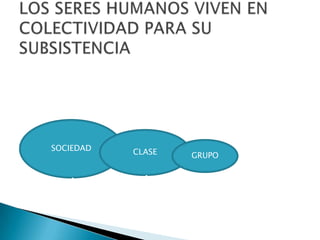 LOS SERES HUMANOS VIVEN EN COLECTIVIDAD PARA SU SUBSISTENCIA SOCIEDADCLASEGRUPO