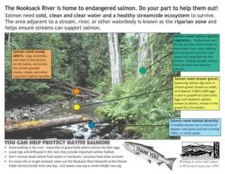 THANK YOU!
Working to restore wild salmon
in Whatcom County since 1991.
Salmon need native riparian
vegetation. Native trees and
shrubs provide critical shade to
keep water cool, roots stabilize
soil and prevent erosion, and
leaves and twigs fall into the
stream, feeding aquatic insects
that are important prey for
salmon.
Salmon need stream gravel.
Spawning salmon dig nests in
stream gravel, known as redds,
and deposit 2,000-5,000 eggs
in pea to grapefruit sized rocks.
Eggs and newborn salmon,
known as alevins, remain in the
gravel for 2-4 months.
Salmon need habitat diversity.
A healthy stream has a mixture of
deeper, cool pools and fast running
riffles, or small rapids.
Salmon need woody
debris. Logs, branches,
and trees in the stream,
on the banks, and across
the stream provide
shelter, shade, and other
important habitat benefits.
You can help protect native salmon!
•	 Avoid walking in the river - especially on gravel beds where salmon lay their eggs.
•	 Leave logs and driftwood in the river, they provide important salmon habitat.
•	 Don’t remove dead salmon from water or riverbanks, carcasses feed other animals!
•	 For more info or to get involved, come see the Nooksack River Stewards at the Glacier
Public Service Center from July-Sep., visit www.n-sea.org or email info@n-sea.org.
The Nooksack River is home to endangered salmon. Do your part to help them out!
Salmon need cold, clean and clear water and a healthy streamside ecosystem to survive.
The area adjacent to a stream, river, or other waterbody is known as the riparian zone and
helps ensure streams can support salmon.
 