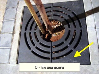 5 - En una acera 
