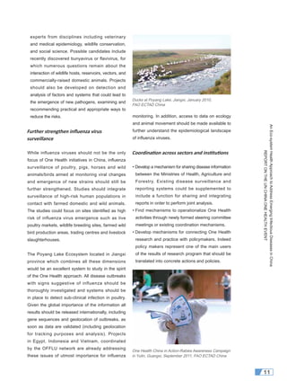 AnEco-systemHealthApproachtoAddressEmergingInfectiousDiseasesinChina
REPORTONTHEUNCHINAONEHEALTHEVENT
11
experts from disciplines including veterinary
and medical epidemiology, wildlife conservation,
and social science. Possible candidates include
recently discovered bunyavirus or flavivirus, for
which numerous questions remain about the
interaction of wildlife hosts, reservoirs, vectors, and
commercially-raised domestic animals. Projects
should also be developed on detection and
analysis of factors and systems that could lead to
the emergence of new pathogens, examining and
recommending practical and appropriate ways to
reduce the risks.
Further strengthen inﬂuenza virus
surveillance
While influenza viruses should not be the only
focus of One Health initiatives in China, inﬂuenza
surveillance of poultry, pigs, horses and wild
animals/birds aimed at monitoring viral changes
and emergence of new strains should still be
further strengthened. Studies should integrate
surveillance of high-risk human populations in
contact with farmed domestic and wild animals.
The studies could focus on sites identiﬁed as high
risk of influenza virus emergence such as live
poultry markets, wildlife breeding sites, farmed wild
bird production areas, trading centres and livestock
slaughterhouses.
The Poyang Lake Ecosystem located in Jiangxi
province which combines all these dimensions
would be an excellent system to study in the spirit
of the One Health approach. All disease outbreaks
with signs suggestive of influenza should be
thoroughly investigated and systems should be
in place to detect sub-clinical infection in poultry.
Given the global importance of the information all
results should be released internationally, including
gene sequences and geolocation of outbreaks, as
soon as data are validated (including geolocation
for tracking purposes and analysis). Projects
in Egypt, Indonesia and Vietnam, coordinated
by the OFFLU network are already addressing
these issues of utmost importance for influenza
monitoring. In addition, access to data on ecology
and animal movement should be made available to
further understand the epidemiological landscape
of inﬂuenza viruses.
Coordina on across sectors and ins tu ons
• Develop a mechanism for sharing disease information
between the Ministries of Health, Agriculture and
Forestry. Existing disease surveillance and
reporting systems could be supplemented to
include a function for sharing and integrating
reports in order to perform joint analysis.
• Find mechanisms to operationalize One Health
activities through newly formed steering committee
meetings or existing coordination mechanisms.
• Develop mechanisms for connecting One Health
research and practice with policymakers. Indeed
policy makers represent one of the main users
of the results of research program that should be
translated into concrete actions and policies.
One Health China in Action-Rabies Awareness Campaign
in Yulin, Guangxi, September 2011, FAO ECTAD China
Ducks at Poyang Lake, Jiangxi, January 2010,
FAO ECTAD China
 