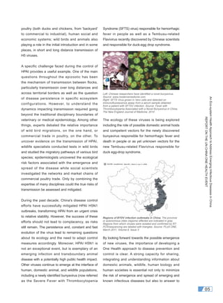 AnEco-systemHealthApproachtoAddressEmergingInfectiousDiseasesinChina
REPORTONTHEUNCHINAONEHEALTHEVENT
05
Syndrome (SFTS) virus) responsible for hemorrhagic
fever in people as well as a Tembusu-related
Flavivirus recently discovered by Chinese scientists
and responsible for duck-egg drop syndrome.
The ecology of these viruses is being explored
including the role of possible domestic animal hosts
and competent vectors for the newly discovered
bunyavirus responsible for hemorrhagic fever and
death in people or as yet unknown vectors for the
new Tembusu-related Flavivirus responsible for
duck egg-drop syndrome.
By looking forward towards the possible emergence
of new viruses, the importance of developing a
One Health approach to disease prevention and
control is clear. A strong capacity for sharing,
integrating and understanding information about
domestic animals, wildlife, human biology and
human societies is essential not only to minimize
the risk of emergence and spread of emerging and
known infectious diseases but also to answer to
poultry (both ducks and chickens, from 'backyard'
to commercial to industrial), human social and
economic systems; wild birds and animals also
playing a role in the initial introduction and in some
places, in short and long distance transmission of
H5 viruses.
A specific challenge faced during the control of
HPAI provides a useful example. One of the main
questions throughout the epizootic has been
the mechanism of transmission between flocks,
particularly transmission over long distances and
across territorial borders as well as the question
of disease persistence in specific ecosystem
configurations. However, to understand the
dynamics impacting transmission required going
beyond the traditional disciplinary boundaries of
veterinary or medical epidemiology. Among other
things, experts debated the relative importance
of wild bird migrations, on the one hand, or
commercial trade in poultry, on the other. To
uncover evidence on the transmission of HPAI,
wildlife specialists conducted tests in wild birds
and studied the migratory pathways of various bird
species; epidemiologists uncovered the ecological
risk factors associated with the emergence and
spread of the disease while social scientists
investigated the networks and market chains of
commercial poultry trade. Only by combining the
expertise of many disciplines could the true risks of
transmission be assessed and mitigated.
During the past decade, China's disease control
efforts have successfully mitigated HPAI H5N1
outbreaks, transforming HPAI from an urgent crisis
to relative stability. However, the success of these
efforts should not lead to complacency, as risks
still remain. The persistence and, constant and fast
evolution of the virus lead to remaining questions
about its ecology and the need to adapt control
measures accordingly. Moreover, HPAI H5N1 is
not an exceptional event, but is exemplary of an
emerging infection and transboundary animal
disease with a potentially high public health impact.
Other viruses continue to emerge at the interface of
human, domestic animal, and wildlife populations,
including a newly identiﬁed bunyavirus (now referred
as the Severe Fever with Thrombocytopenia
Left: Chinese researchers have identiﬁed a novel bunyavirus.
Source: www.modernemedicine.com
Right: SFTS Virus grown in Vero cells and detected on
immunoﬂuorescence assay from a serum sample obtained
from a patient with SFTSV infection. Source: Fever with
Thrombocytopenia Associated with a Novel Bunyavirus in China,
The New England Journal of Medicine, 2010
Regions of BYDV infection outbreaks in China. The province
or autonomous cities (regions) affected are indicated in gray.
Regions from which viruses were isolated and conﬁrmed by RT-
PCR/sequencing are labeled with triangles. Source: PLoS ONE,
March 2011, Volume 6, Issue 3.
 