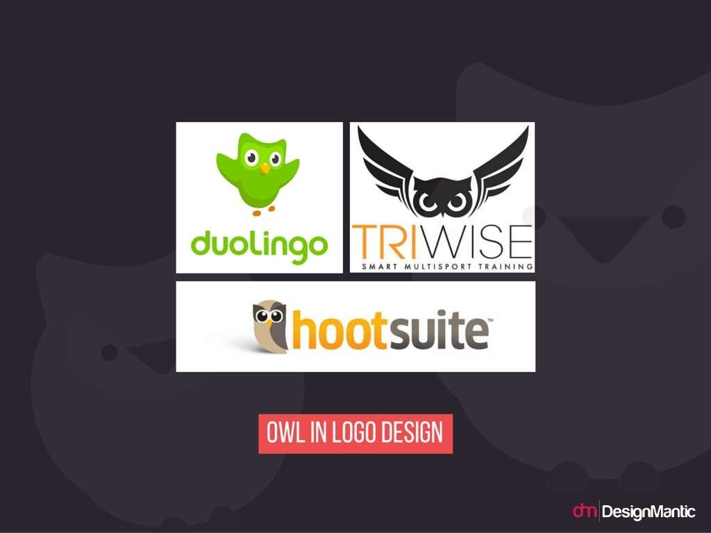 Owl in logo design.