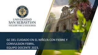 GC DEL CUIDADO EN EL NIÑO/A CON FIEBRE Y
CONVULSION FEBRIL.
EQUIPO DOCENTE 2023.
 