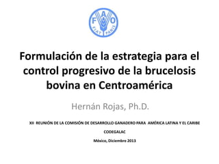 Formulación de la estrategia para el
control progresivo de la brucelosis
bovina en Centroamérica
Hernán Rojas, Ph.D.
XII REUNIÓN DE LA COMISIÓN DE DESARROLLO GANADERO PARA AMÉRICA LATINA Y EL CARIBE
CODEGALAC
México, Diciembre 2013

 