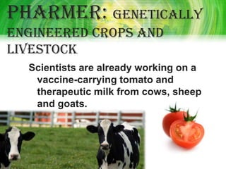 Pharmer: genetically
engineered crops and
livestock
  Scientists are already working on a
   vaccine-carrying tomato and
   therapeutic milk from cows, sheep
   and goats.
 