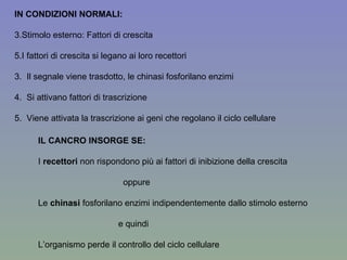 IN CONDIZIONI NORMALI: Stimolo esterno: Fattori di crescita  I fattori di crescita si legano ai loro recettori 3.  Il segnale viene trasdotto, le chinasi fosforilano enzimi 4.  Si attivano fattori di trascrizione 5.  Viene attivata la trascrizione ai geni che regolano il ciclo cellulare IL CANCRO INSORGE SE: I  recettori  non rispondono più ai fattori di inibizione della crescita oppure Le  chinasi  fosforilano enzimi indipendentemente dallo stimolo esterno e quindi L’organismo perde il controllo del ciclo cellulare 