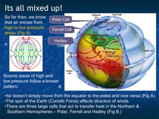 GLOBAL CIRCULATION | PPT