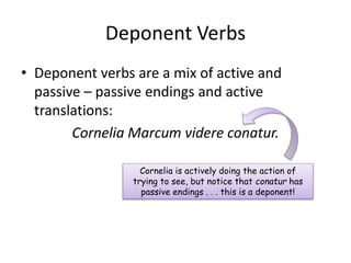 Deponent Verbs
• Deponent verbs are a mix of active and
passive – passive endings and active
translations:
Cornelia Marcum videre conatur.
Cornelia is actively doing the action of
trying to see, but notice that conatur has
passive endings . . . this is a deponent!
 