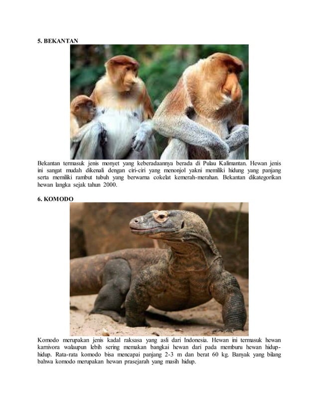 20 hewan langka di indonesia | DOCX