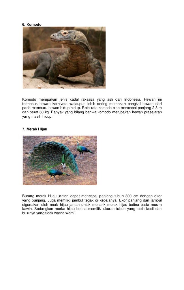 20 hewan  langkah  di indonesia