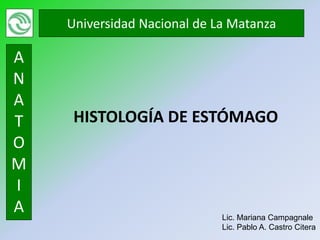 Universidad Nacional de La Matanza

A
N
A
T    HISTOLOGÍA DE ESTÓMAGO
O
M
I
A                            Lic. Mariana Campagnale
                             Lic. Pablo A. Castro Citera
 