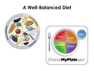 A Well-Balanced Diet
 