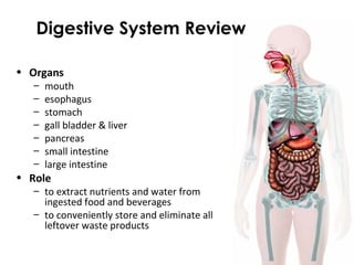 Digestive System Review
• Organs
– mouth
– esophagus
– stomach
– gall bladder & liver
– pancreas
– small intestine
– large intestine
• Role
– to extract nutrients and water from
ingested food and beverages
– to conveniently store and eliminate all
leftover waste products
 