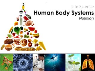 Life Science
Human Body Systems
Nutrition
 