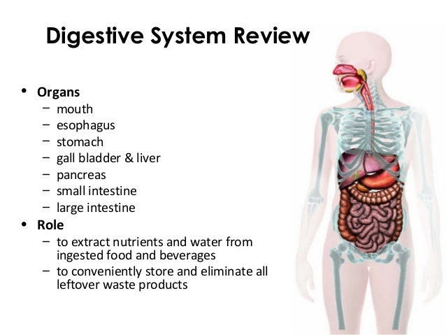 human nutrition human nutrition
