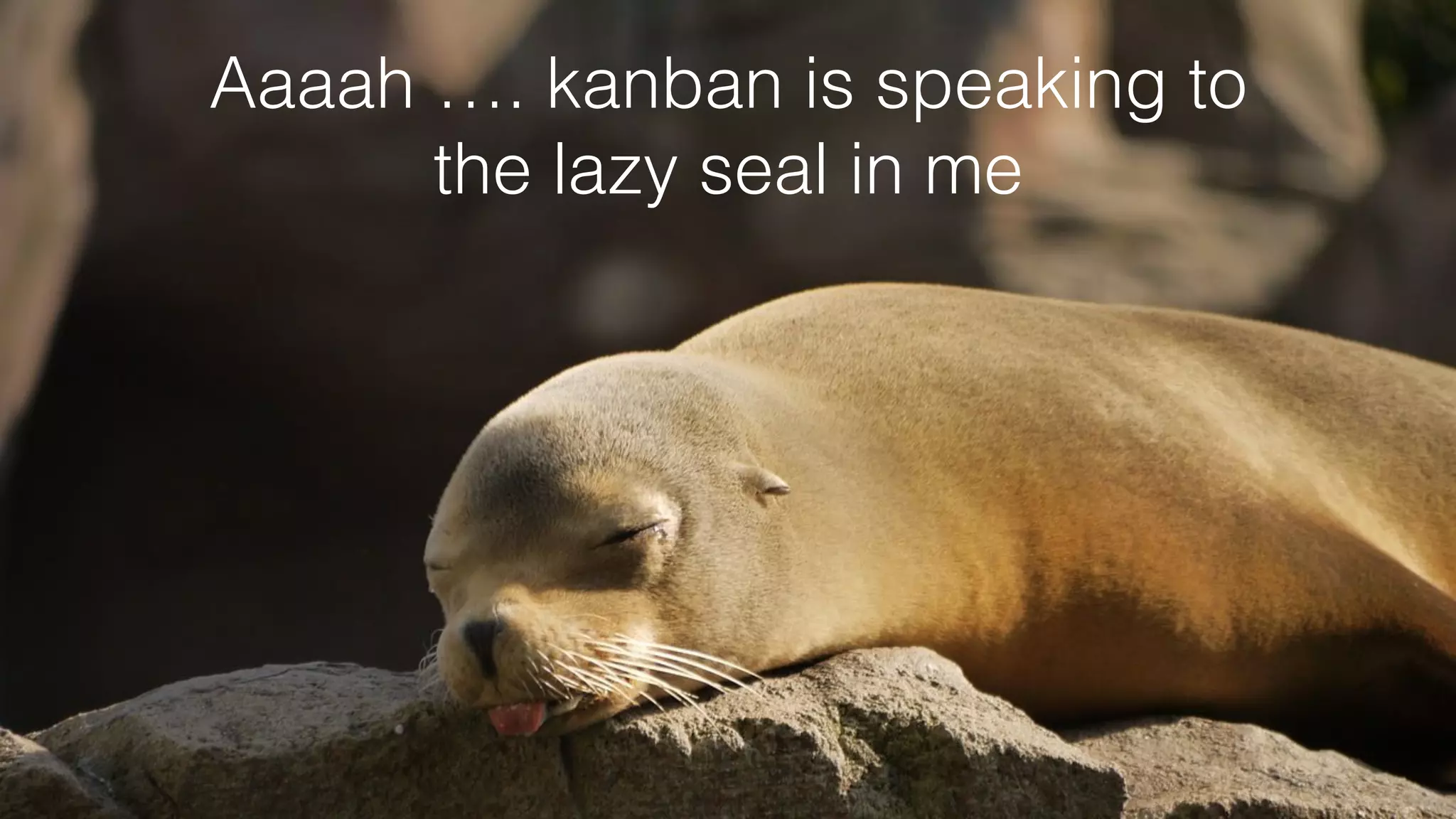 Aaaah …. kanban is speaking to
the lazy seal in me
 