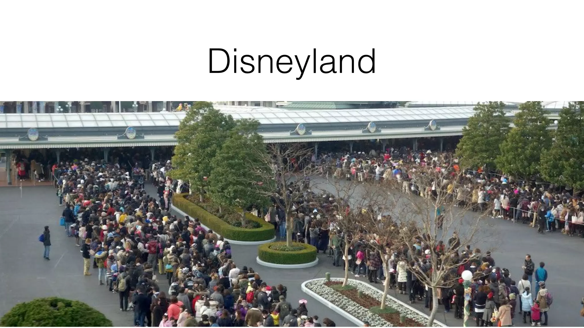 Disneyland
 