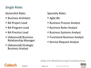 Career Development Tips for Business Analysts